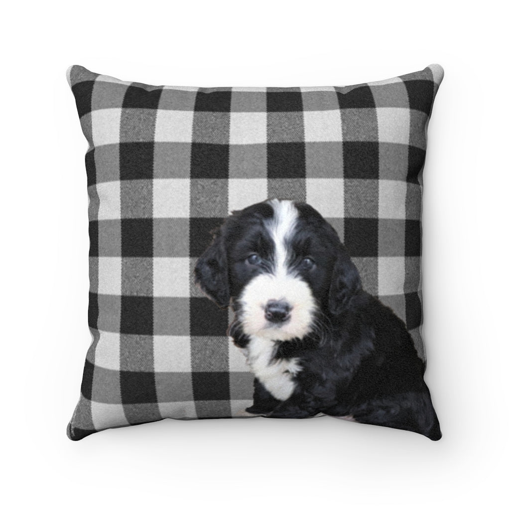 Checks & Puppies Black Faux Suede Square Pillow