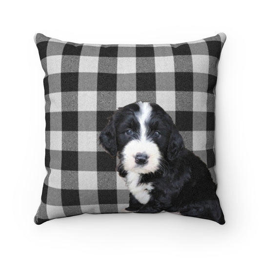 Checks & Puppies Black Faux Suede Square Pillow