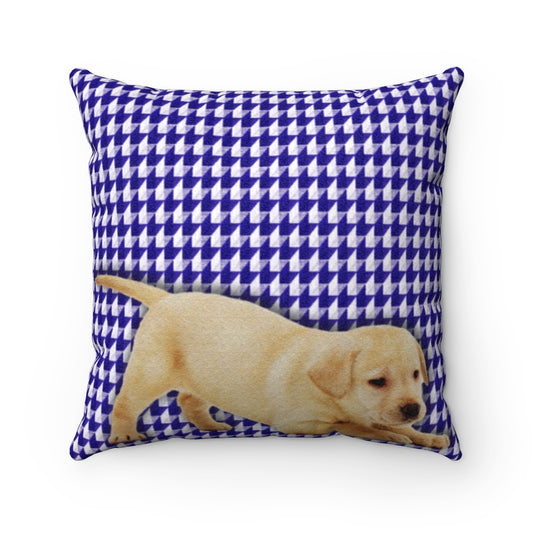 Playful Lab Faux Suede Square Pillow