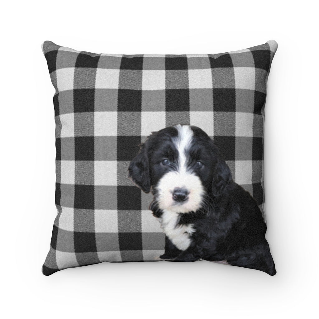 Checks & Puppies Black Faux Suede Square Pillow